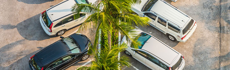 Suntamers 2026 | Cars sitting in a Southwest Florida parking lot