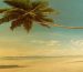 Suntamers | Vintage image of beach and a palm tree